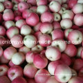 2016 New Crop paper Bagged Gala Apple